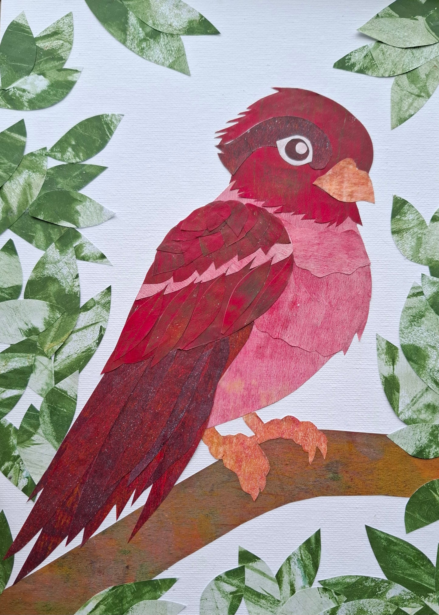 Collage Art - Birds on Sunday 27th July 10.30am till 4pm
